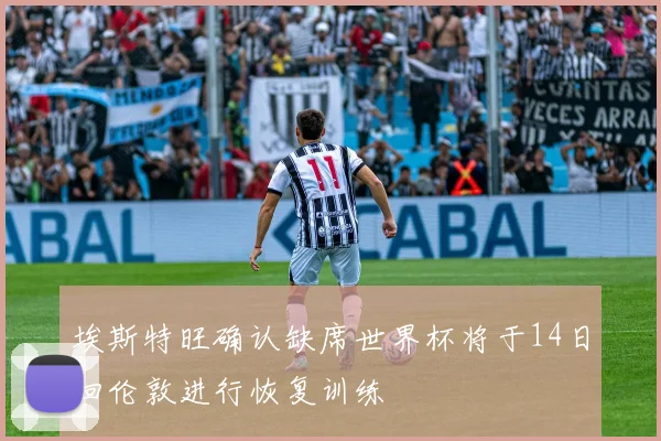 埃斯特旺确认缺席世界杯将于14日回伦敦进行恢复训练