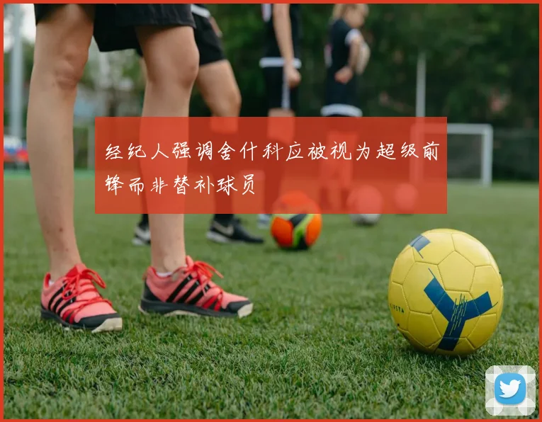 经纪人强调舍什科应被视为超级前锋而非替补球员