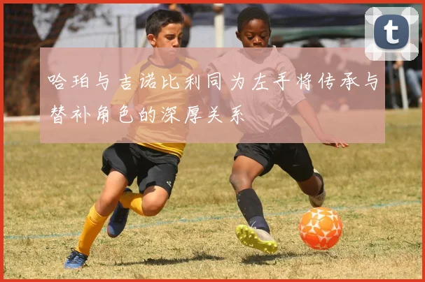哈珀与吉诺比利同为左手将传承与替补角色的深厚关系